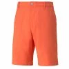 Puma Jackpot Golf Shorts 599246 -Mens Sales Store p1fq8ucttf3ch1so01cmv1cbgsc65